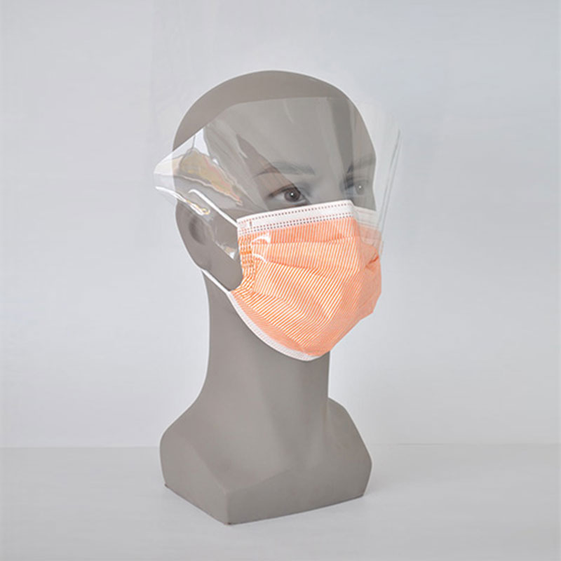 Disposable printed face mask with shield